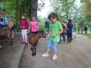 Vorschulkinder im Eilenburger Tierpark 2017