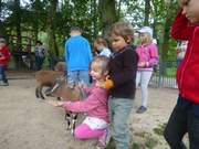 Vorschulkinder im Eilenburger Tierpark 2017